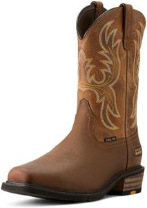 ARIAT Men'