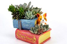 Brotherhood Enterprise Resin Pots Small Puppy with Books Design Cute & Trendy Perfect Cute Coorgi Dog Reading Book Succulent Pot for Study Table Decoration Office Table Lovely Miniature in Cute Pot