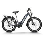 Himiway D5 Pro Electric Bicycle, 500W Mid-Drive, 960Wh 48V 20Ah Battery & 80Miles/128Km Range Electric Step Thru Bike for Adults, 400lbs Max Load, 25mph, Hydraulic Brakes, 9-Speed