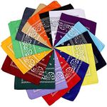 N-A 16 Pcs Bandanas Multi-Purpose B