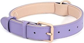 JASGOOD Leather Dog Collar for Smal