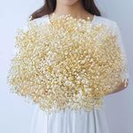 beerfingo 3000+ Dried-Babys-Breath-