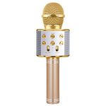 Popular Presents for 4-11 Year Old Kids Girls, Kid Karaoke Microphone Toy for Boys Girls Age 5-14 Child Singing Microphone Gifts for 5-12 Year Old Kids Birthday Christmas for Girls Boys Age 7 8 9 Gold Mic