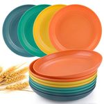 Types Of Dinner Plates