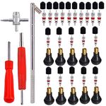 RUNCCI-YUN Tire Valve Stem Puller Tools Set,44 PCS Tyre Valve Repair Tool Kit with Dual Single Head Valve Core Remover, TR412 Snap-in Valve Stems and Cores,for Car Truck Motorcycle Bicycle