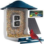 Dzees Smart Bird Feeder with Camera, Bird Feeder Camera Wireless Outdoor, Auto Capture Bird Video, Free AI Identify Bird Species, 1080P Bird Watching Camera with Solar Powered, Ideal Gift for Parents