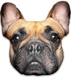 Splat Planet French Bulldog Plush 3D Pillow Cushion, Giant Realistic Plush Stuffed Toy Funny Kids, Decorative Floor Cushion, Seat Cushions For Bedroom Chairs, Playroom (French Bulldog Cushion)