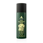 RayTails Dog Deodorant Spray 150 ml | Pet Odor Control & Grooming Spray for Dogs | Quick Refresh Coat Freshener | Vet Guided Daily Freshness