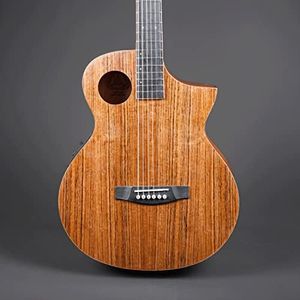 Lindo Neptune SE V2 Electro Acoustic Guitar and Padded Gigbag - Walnut