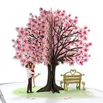 CUTPOPUP Cherry Couple, Anniversary Pop Up Card, 3D Wedding Valentines Mothers Day Birthday Greeting Card (Cherry Couple)