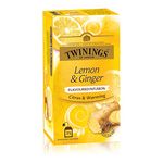 Tea Forte Ginger Teas