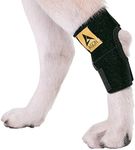 Agon® Dog Leg Braces For Back Leg w