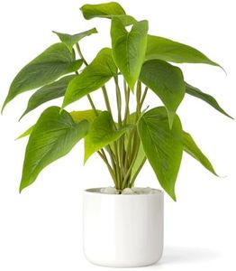 Mkono Fake Plants in Ceramic Pot, 11" Potted Artificial Plants for Home Decor Indoor Faux Green Leaf Plant with Modern White Planter for Desk Shelf Office Room Decoration (Pothos)