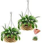 Skylety 2 Pieces 1:12 Miniature Dollhouse Plants Miniature Bonsai Plant Dollhouse Christmas Tree Mini Potted Plant Dollhouse Hanging Plant Pot Model for Toddlers Girls and Boys Toys DIY