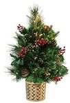 Christmas Concepts® 2ft (60cm) Gree