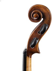 Stentor Verona 4/4 Violin – Full Size Student Instrument