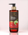 KHADI NATURAL HIBISCUS & ALOEVERA SHAMPOO WITH REETHA & AMLA SULPHATE PARABEN FREE - POWERED BOTANICS