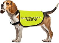 Social Anxiety Dog Jacke Vest Selectively Social Do Not Pet Dog Vest Dog Walking Slogan Warning Vest (Selectively Social -Medium)