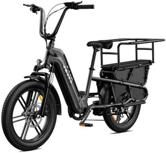 TST Elektrofahrrad für Erwachsene E Bike mit 20" Fat Reifen & Heckgepäckträger, Lasten E Bike 48V 15Ah Akku 250W Motor 60km Maxi Reichweite 204kg Zuladung, App-Steuerung, Federung,Tiefer Einstieg