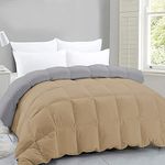 Indian Kingdom - 400 GSM Winter Proof Comforter Premium Collection Quilted Revesible Comforter (90" x 90" Inches/228cm x 228cm) - Queen Size Comforter|Silver/Beige