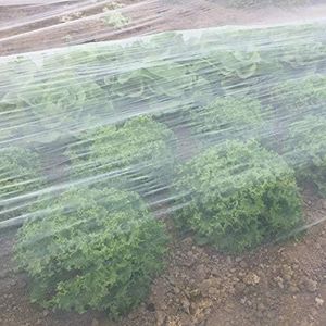 Garden Netting, Garden Netting Fine Mesh, Insect Netting for Garden Vegetables Plant Protection (2.5 m x 6 m)