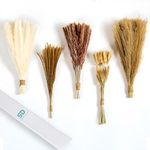 Sleek Decor Pampas Grass Decor 120 Pcs - 17.5 Inches Naturally Dried Flowers for Boho Decor, 30Pcs White & Brown Pampas, 25Pcs Reed Grass + Bunny Tails & 10Pcs Little Yellow – Ideal for Any Occasion