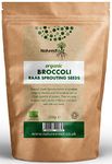 Natures Root Organic Broccoli Sprouting Seeds 250g - Superfood | Non GMO | Microgreen Sprouts