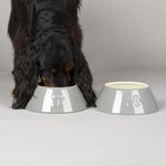 Scruffs Classic 2 Piece Long Eared Dog Food & Water Bowl - Grey