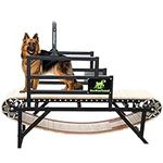 BowWowTread Dog Treadmill for Large