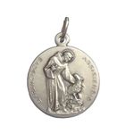 Saint Francis of Assisi Medal - The Patron Saints Medals -100% Made in Italy (St.Francis with the Wolf)