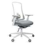 ProtoArc Ergonomic Office Chair - Flexer Nylon Breathable Mesh Chair (Flexer Pro-White)