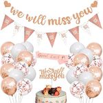 We Will Miss You Banner Leaving Party Decorations with Good Luck Balloons Triangle Flag Banner Good Luck Sash Cake Topper for Retirement Graduation Going Away Farewell Decorations (Rose Gold)