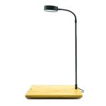 SAHENITEANA LED Aquarium Light, 360-Degree Full Spectrum Led Light with Bamboo Board, 10W Nano Fish Tank Light, USB Powered, Flat Nano Aquarium Light, Fish Tank Light Suitable for Plant Growth (L)