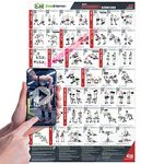 EverStretch Dumbbell Workout Poster for Home Gym - with Video Instructions - Large 23" x 35" | Laminated Workout Chart | Dumbbell Workout Posters for Home Gym | Dumbbell Exercise Posters