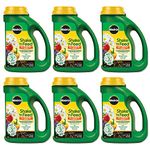 Miracle-Gro 3001910 Shake 'N Feed All Purpose Continuous Release Plant Food