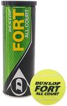 DUNLOP Fort All Court Tennis Balls -DS