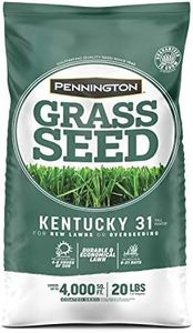 Pennington Kentucky 31 Tall Fescue Grass Seed 20 lb