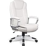 LEMBERI Office Desk Chair, Big and 
