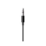 Apple Lightning to 3.5mm Audio Cable