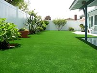 GREENOUT American Imported Bermuda Lawn Grass Seeds,Natural Green Lawn Turf, High-Density Synthetic Grass for Outdoor Landscaping for Home and Gardening (PACK OF 2000 SEEDS)