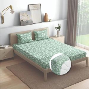 Wakefit Cotton Fitted Bedsheet | 144 TC Elastic Fitted Sheet, Queen Bed Bedsheet with 2 Pillow Covers | Hester - 78x60 inches