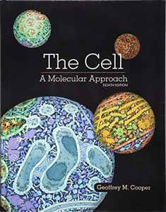 The Cell: 