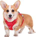 BARKBAY No Pull Dog Harness Large Step in Reflective Dog Harness with Front Clip and Easy Control Handle for Walking Training Running with ID tag Pocket(Red,M)