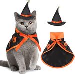 Cat Halloween Costume Pet Witch Out