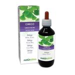 Ginkgo Biloba For Kids