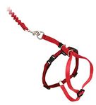 PetSafe Come With Me Kitty Harness and Bungee Leash, Harness for Cats, Large, Red/Cranberry