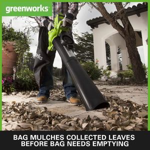 Greenworks Cordless Leaf Blower and Vacuum – Lightweight Garden Tool