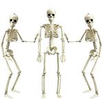 15” Halloween Skeleton Decorations, Posable Full Body Skeleton with Movable Joints for Yard Patio Lawn Garden Haunted House Props Decorations (3pcs)