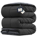 BELADOR Queen Comforter All-Season Duvet Insert Queen Size Bed Comforter - Down Alternative Comforters, Mid-Plush Lightweight Comforter, Box Quilted Siliconized Fiberfill Oeko-Tex Hotel Comforter