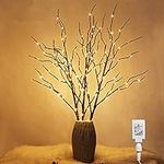Twinkle Star Lighted White Birch Br